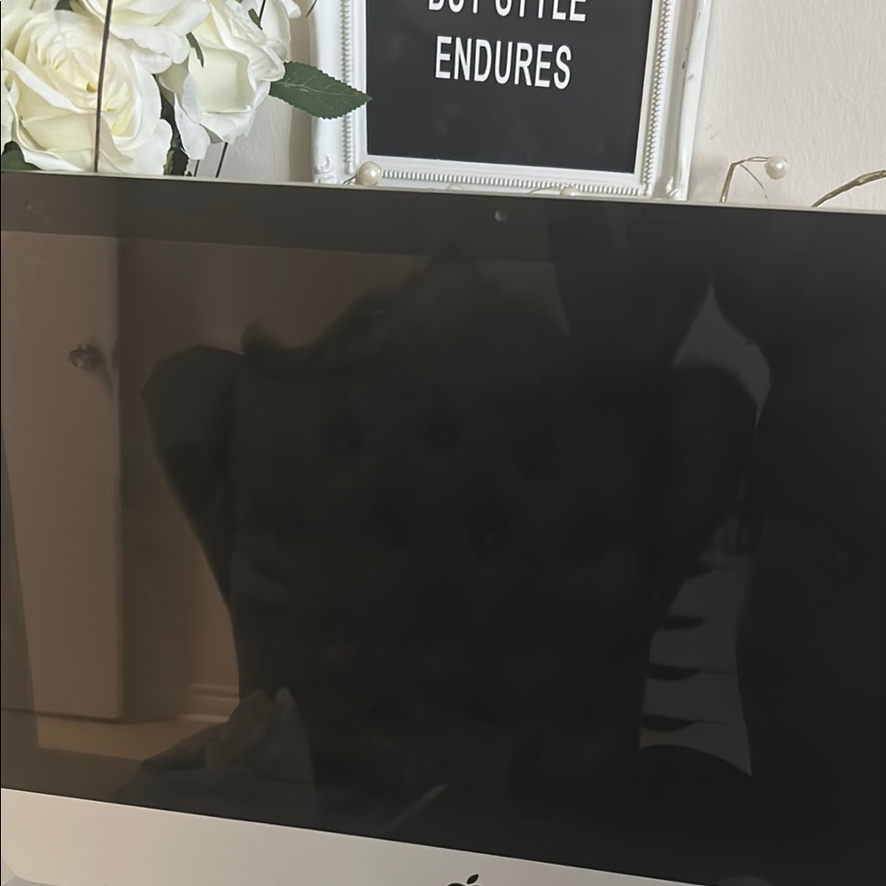 Apple iMac in Elegant Silver